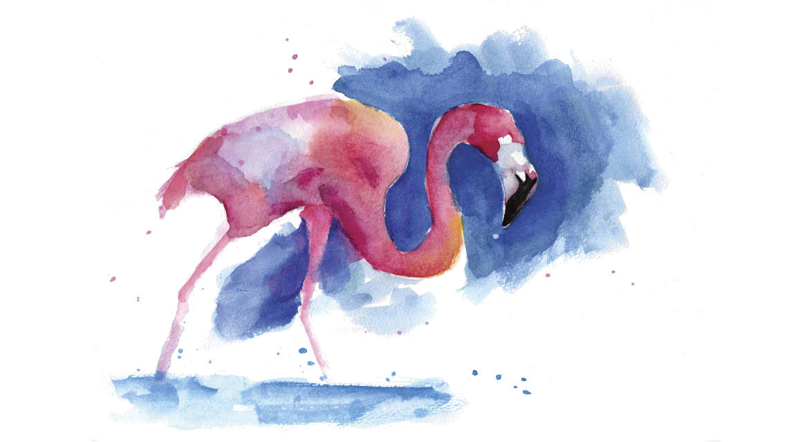 Picture of Flamingo Aquarel work
